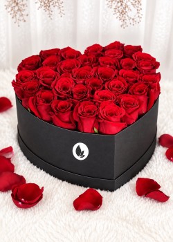 Corazón Enamorado Rojo