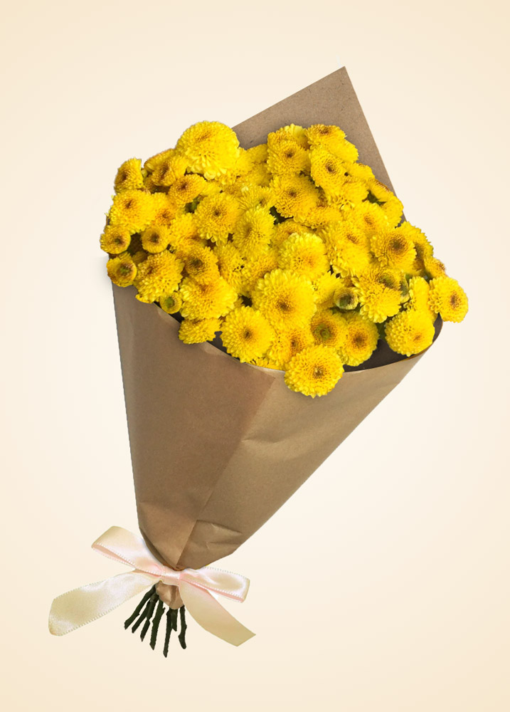 Floricienta