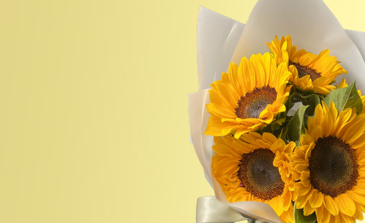 🌼 Flores Amarillas